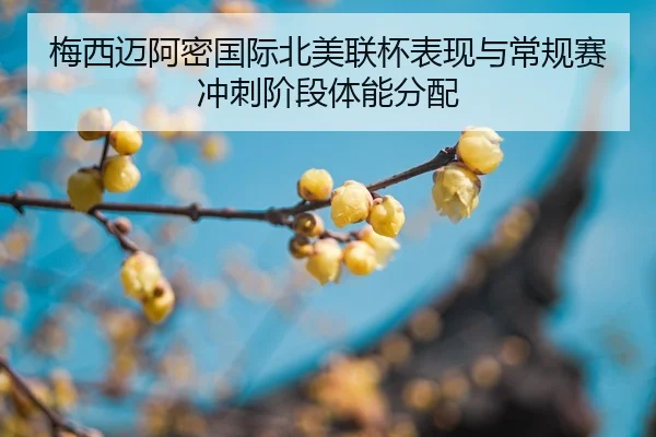 mei-xi-mai-a-mi-guo-ji-bei-mei-lian-bei-biao-xian-yu-chang-gui-sai-chong-ci-jie-duan-ti-neng-fen-pei-2-560.jpg