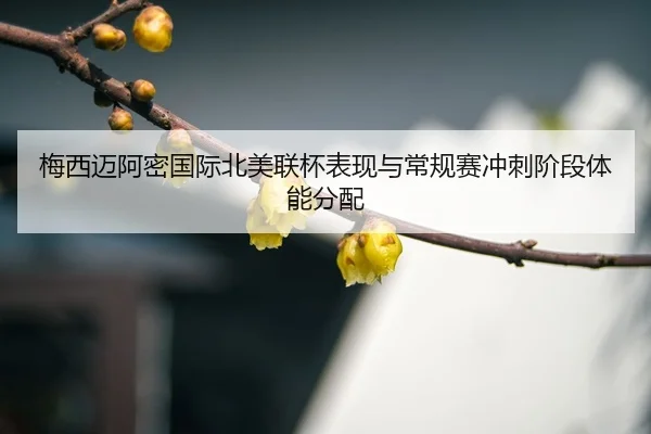 mei-xi-mai-a-mi-guo-ji-bei-mei-lian-bei-biao-xian-yu-chang-gui-sai-chong-ci-jie-duan-ti-neng-fen-pei-3-447.jpg