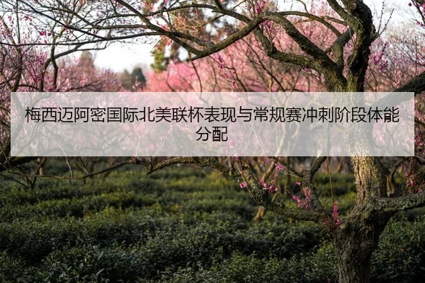 梅西迈阿密国际北美联杯表现与常规赛冲刺阶段体能分配