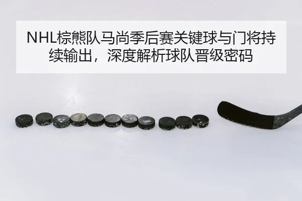 NHL棕熊队马尚季后赛关键球与门将持续输出，深度解析球队晋级密码