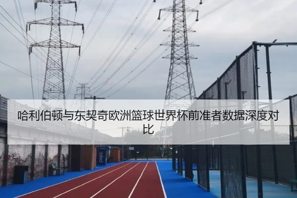 哈利伯顿与东契奇欧洲篮球世界杯前准者数据深度对比